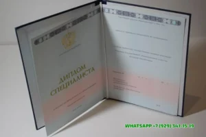 Купить диплом Тульского филиала ВГУЮ — Всероссийского государственного университета юстиции в Владикавказе